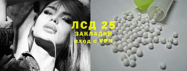 ECSTASY Богданович