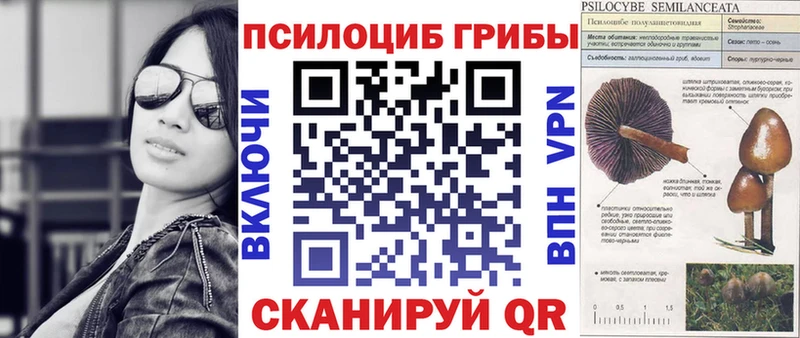где найти   Городовиковск  Галлюциногенные грибы ЛСД 